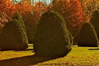Illustration for article titled Shooting Challenge Fall Leaves Gallery 11